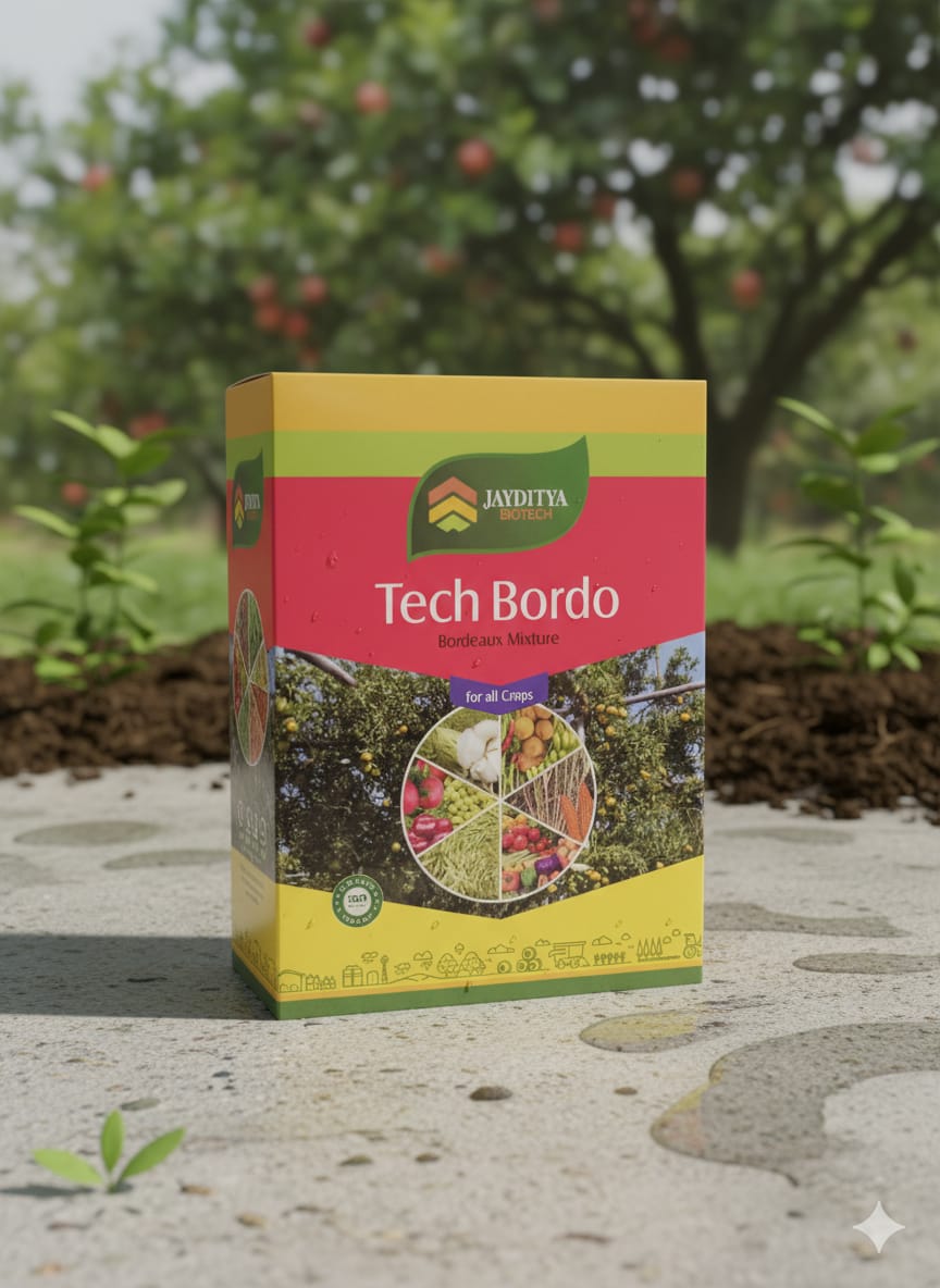 Tech Bordo